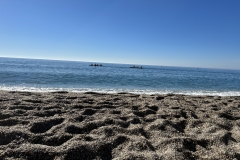 IMG_8650